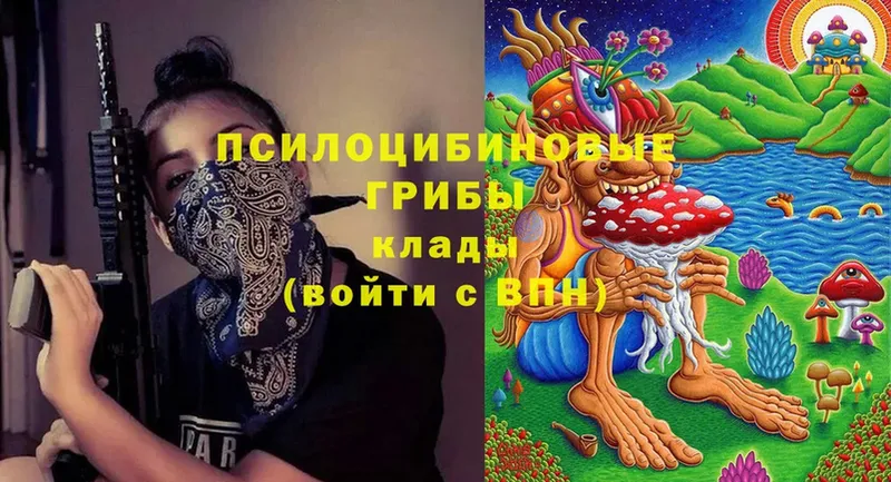 Галлюциногенные грибы Cubensis  Баймак 